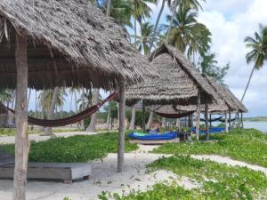 Feet-in-the-sand bungalows Mafia Island - 2354