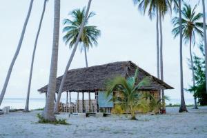 Quiet beachfront hideaway - Mafia Island - 2355
