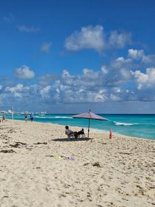 Vacation Rentals Cancún Beachfront
