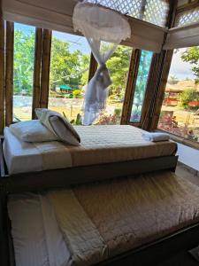 HOTEL Casa del Árbol ECOPARQUE CHINAUTA