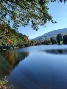 La clef des bois - cosy et calme au coeur de la nature