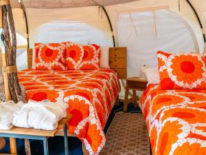 La Colmena Glamping Zangano