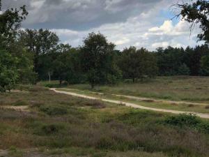 Comfortabel boshuisje in de Oisterwijkse bossen