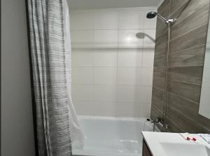 Studio cercano a Movistar Arena y Parque Ohiggins