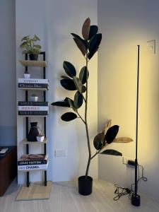 1BR Peaceful Condo Stay, Tambuli Seaside Living