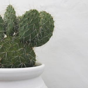 Casa Poente - Casas de Seixe