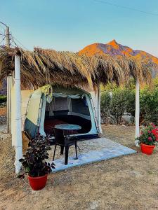 Astro Camping Elqui Experience
