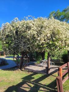 Posada Vientos de Belgrano