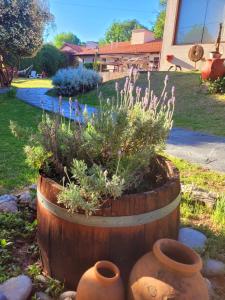 Posada Vientos de Belgrano