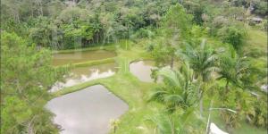 Sítio Trilha da Natureza