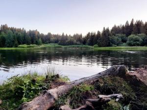 Appartement au coeur de la nature