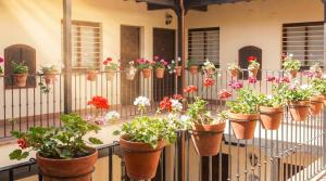 Charming apt in the center - 10m walk Isla Mágica