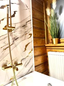 Willa Pod Stokiem Apartments & Jacuzzi