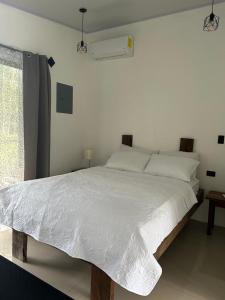 Bungalows Chachagüita