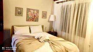 Forest cottage top of the world