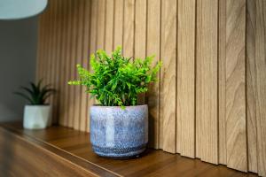 APL Appartment Ivory Pipera