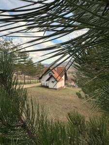 Vila Golden Queen Zlatibor