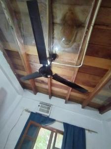 Iguana hostels Montañita