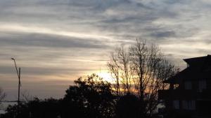 Atardeceres de Colonia 205