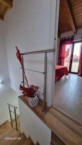 La bella costiera home