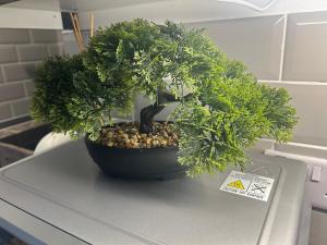 Chloes Holiday Apartments