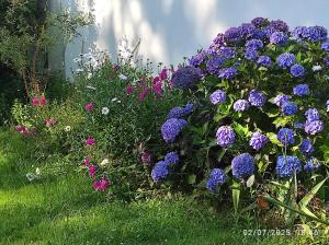 Er Mervent Maison de vacances