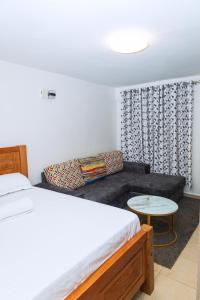 Kasarani Studio Apartment