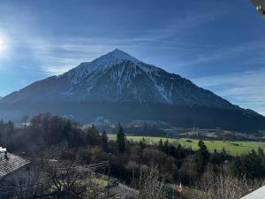 Niesenblick apartment