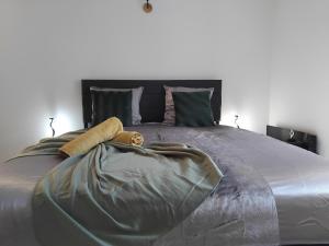 Au bon VERGER Appartement en coeur de ville hyper centre