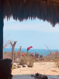 Columpio del Reptil cabaña