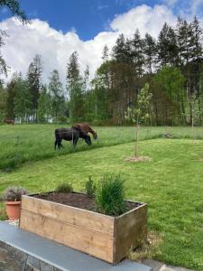 Chata Bianka moderní horská chalupa se saunou