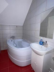 Casa Petrica Toplița