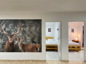 Casa Petrica Toplița