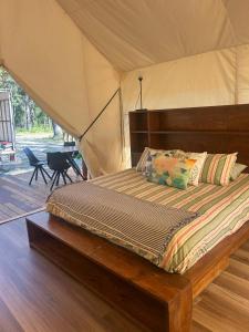 Ventricosa Jervis Bay