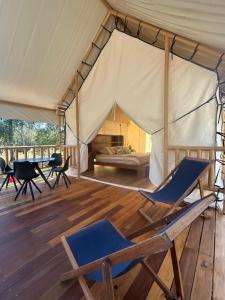 Ventricosa Jervis Bay