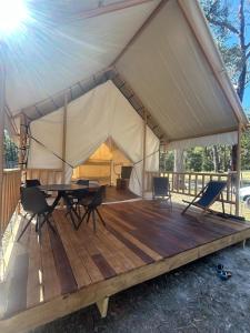 Ventricosa Jervis Bay