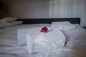 Kazimierz Pearl Apartments