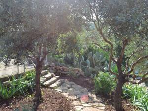 Cabin in Veli Losinj with swimming pool