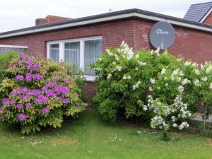 Bungalow in Föhr with 2 bedrooms
