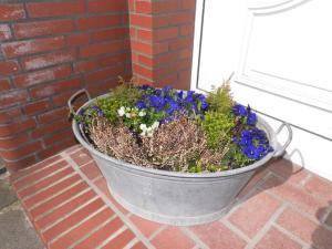 Westwind - House of Romanticism