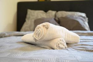 Studio cosy hyper-centre