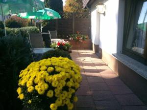 at the small Bärenstein