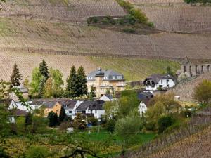 Holiday apartment in Dernau with parking