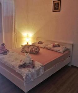 Apartments with parking space Cove Saplunara, Mljet - 4923