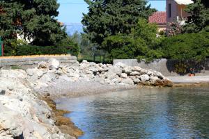 Apartments by the sea Poljana, Ugljan - 8523