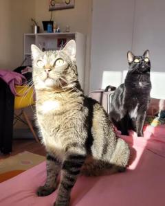 Acogedora habitación en duplex con vista a parque