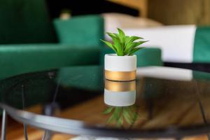 Rooms with a parking space Sveti Martin Thermal Spa - Toplice Sveti Martin, Medimurje - 22759