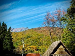 フリーフロー付きB&B Lodge GRAMP