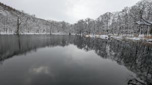 富良野鳥沼Villa 2