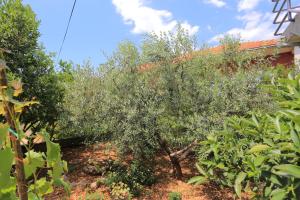 Apartments and rooms with parking space Trogir - 4814